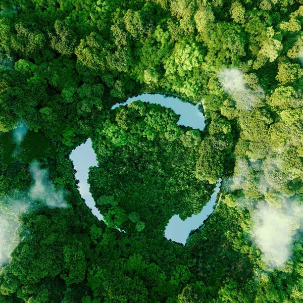 Çevreye Duyarlılık